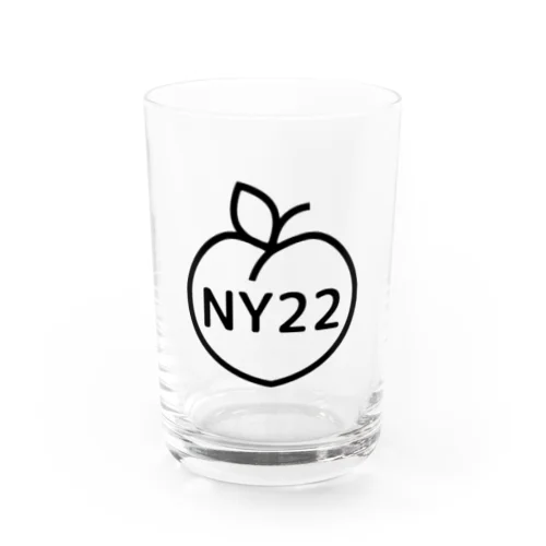 NY22 b Water Glass