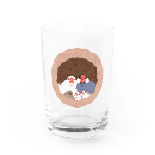 文鳥一家のどこでも壷巣！住み着くシリーズ Water Glass