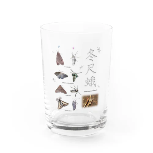 フユシャク Water Glass