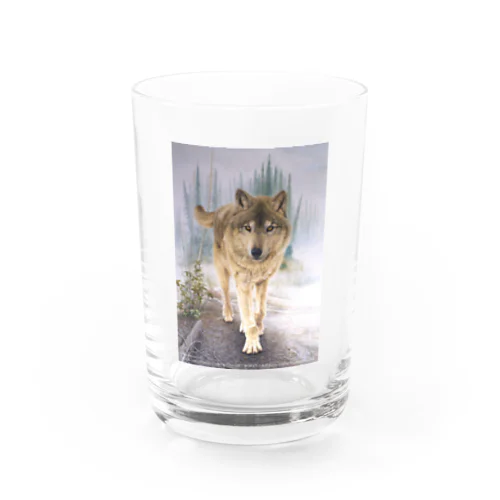 F​o​r​e​s​t​ ​o​f​ ​K​a​s​i​l​o​f  Water Glass