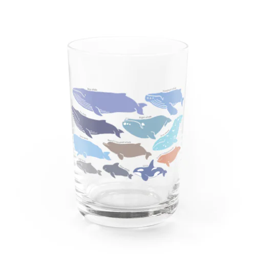 クジラたち Water Glass