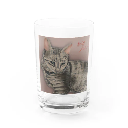 あずき猫 Water Glass