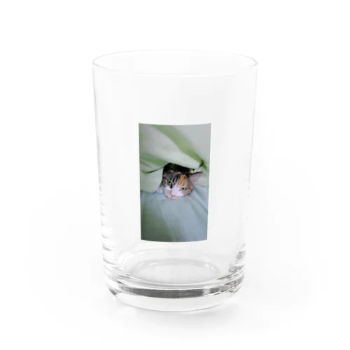 みぃにゃん＊お布団から出たくない Water Glass