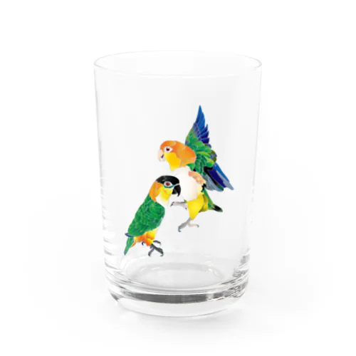 シロハラインコたち Water Glass