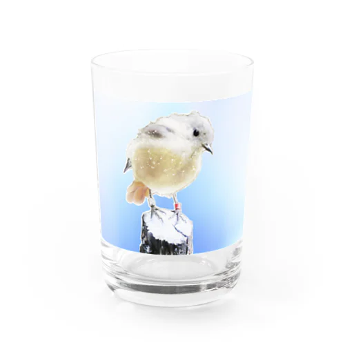 ジョウビタキ Water Glass