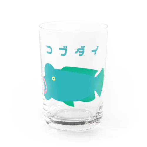 コブダイ Water Glass