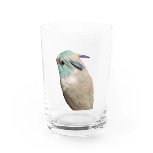 マメルリハのゆき Water Glass