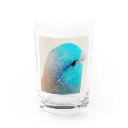 マメルリハのまめた Water Glass