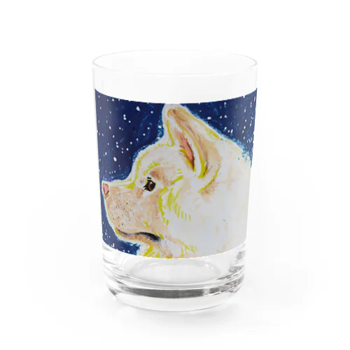 秋田犬のケンシロウ Water Glass