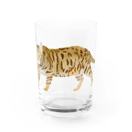 虎 猫 トイガー 大 Water Glass
