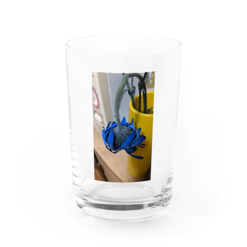 枯れた花 Water Glass