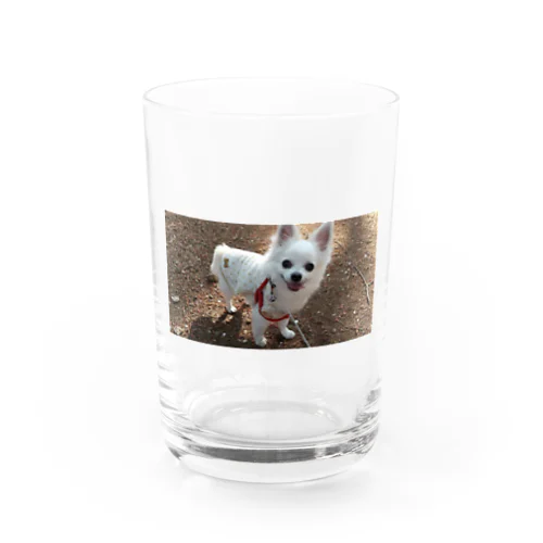 レオくんシリーズ5 Water Glass