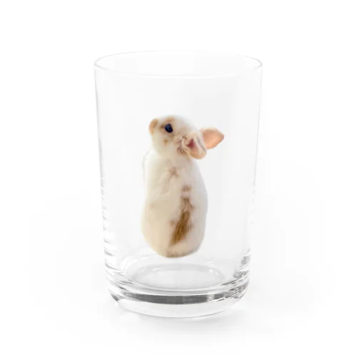 【うさぎ】ベビかむくんグッズ Water Glass