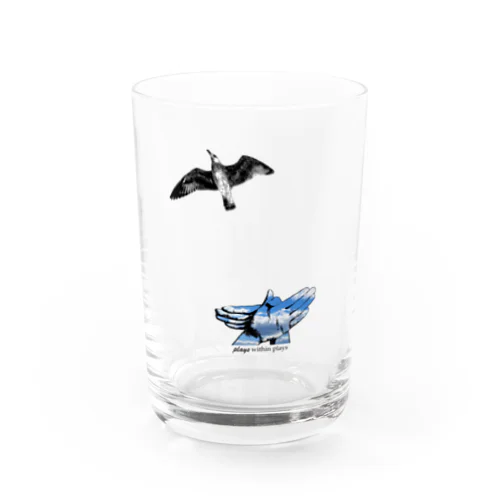 Bird Shadow Water Glass