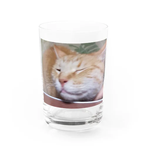 トラ Water Glass