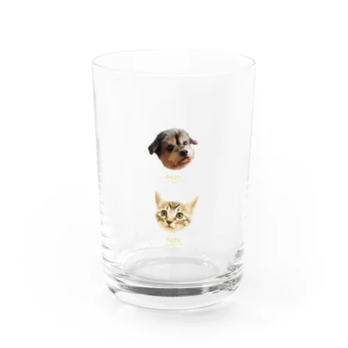 あんちゃんそうたん Water Glass