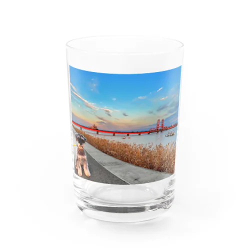 DORRY Water Glass