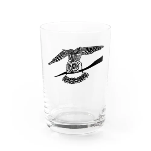 伸びをするトラフズクさん Water Glass