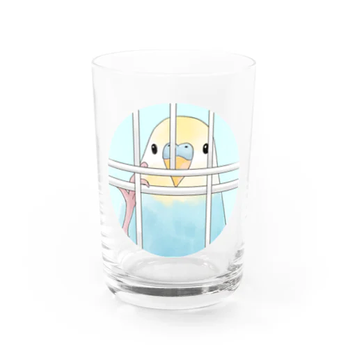 可愛いのぞき見セキセイインコちゃん【まめるりはことり】 Water Glass