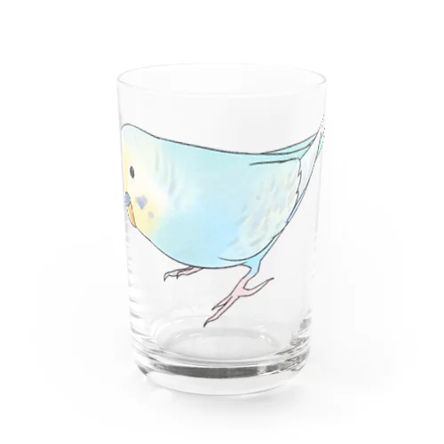 レインボーなセキセイインコちゃん【まめるりはことり】 Water Glass