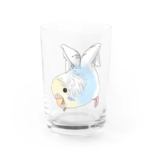 ご機嫌羽セキセイインコちゃん【まめるりはことり】 Water Glass