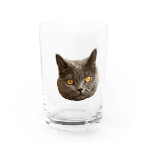 お顔アップもあたん Water Glass