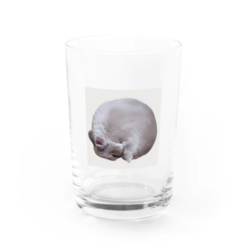 毛づくろいバニラたん Water Glass