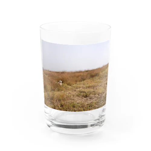 アメコカのルーちゃん Water Glass