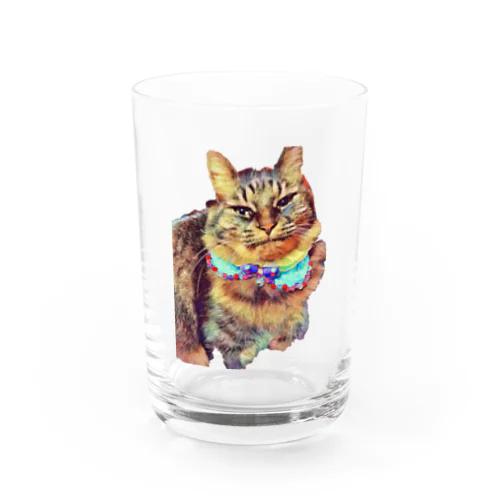 猫の月見ちゃん Water Glass