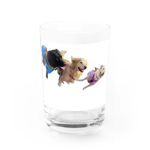 まり♡オレオ⭐︎あかり Water Glass