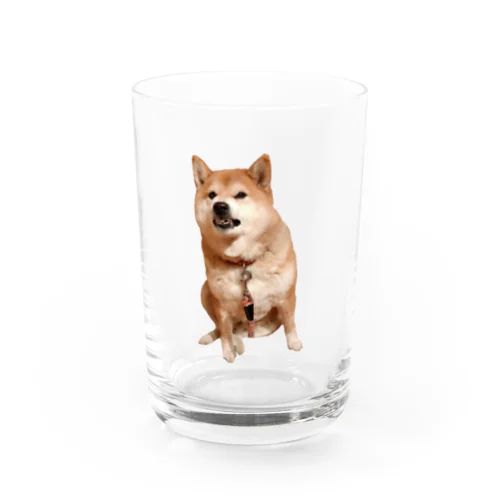 怒ってる犬 Water Glass