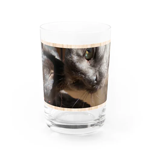 仲良しねこ達 Water Glass