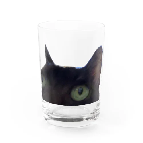 ドアップねこ Water Glass