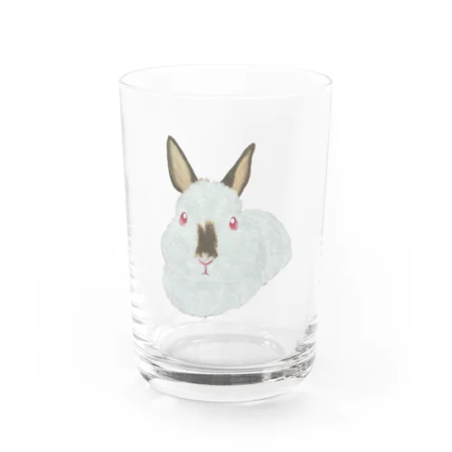 うさぎさん🐰ヒマラヤン Water Glass