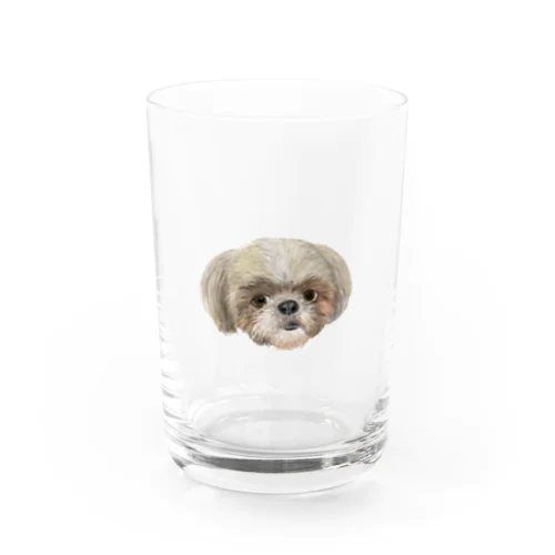 シーズーのネルちゃん Water Glass