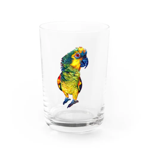 bousuke アオボウシインコ Water Glass