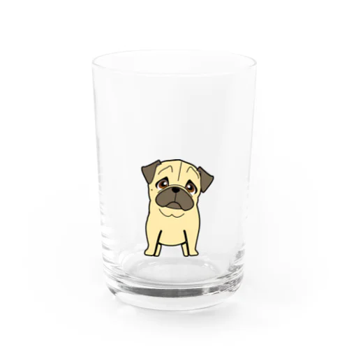 みつめるフォーンパグ Water Glass