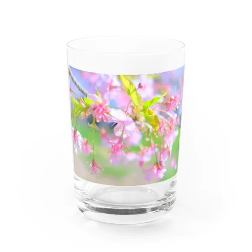 春の足音 Water Glass