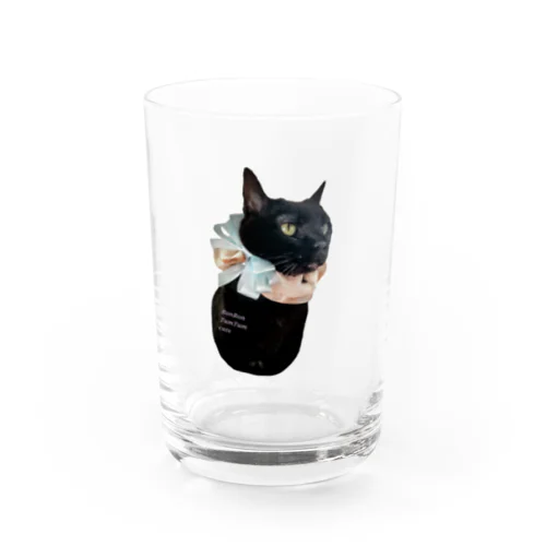 フリルリボンと黒猫 Water Glass