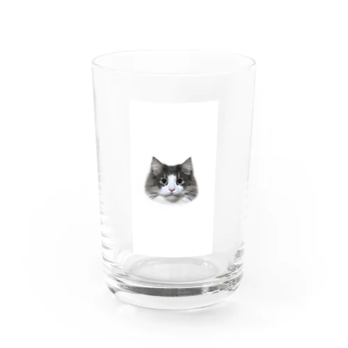 Timmy the cat Water Glass