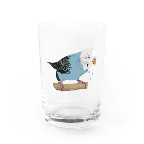 セキセイインコのPちゃん 泣 Water Glass