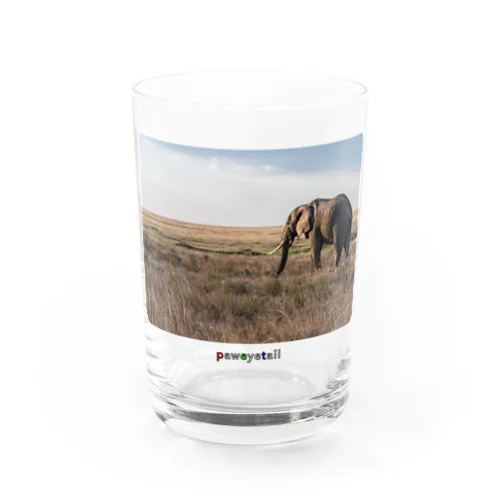 大草原の大きなゾウ グラス