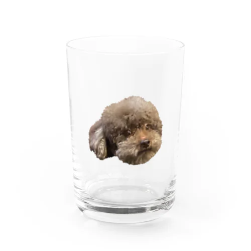 うちのお犬　かうる Water Glass