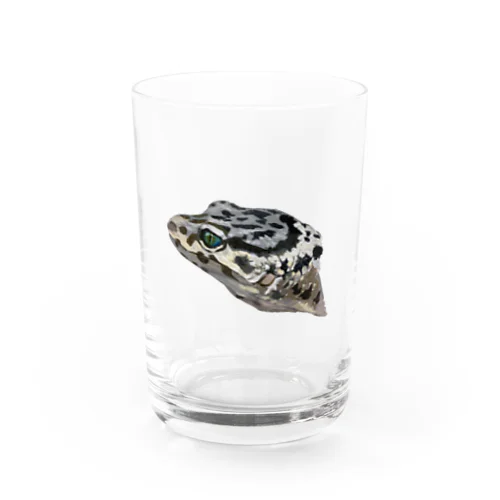 レオパ Water Glass
