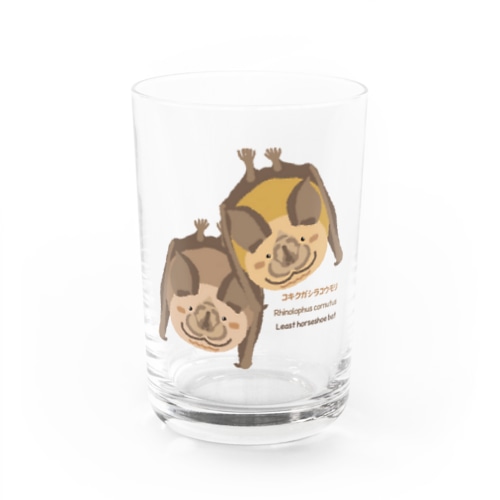 コキクガシラコウモリ Water Glass