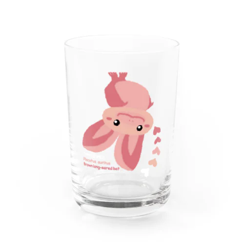 ウサギコウモリ Water Glass