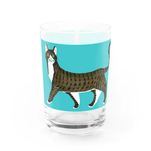 きじしろねこ（背景あり） Water Glass