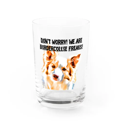 BorderCollie Freaks (red) Water Glass