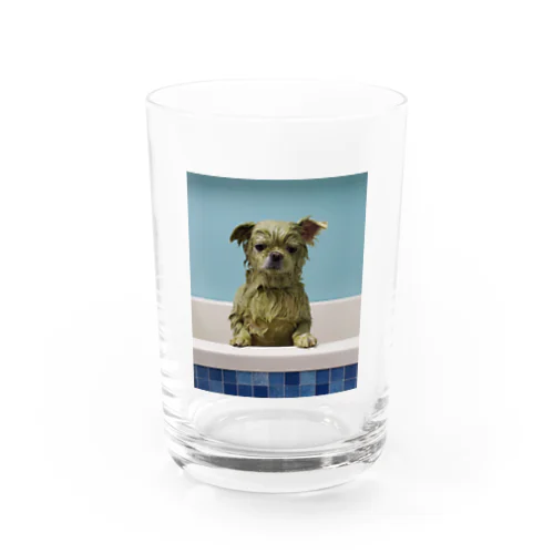 MellsaM 3.3 Water Glass