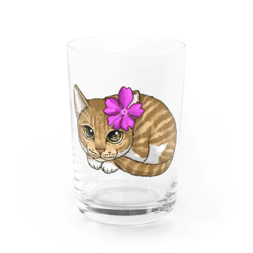 サクラソウとみかん Water Glass